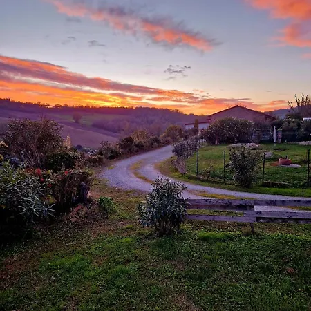 La Letizia Cocconato