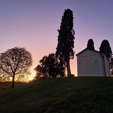 La Letizia Cocconato