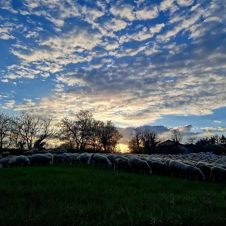 Appartement La Letizia *